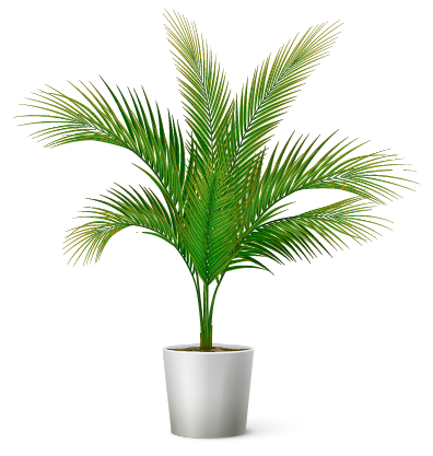 tradición y tecnología